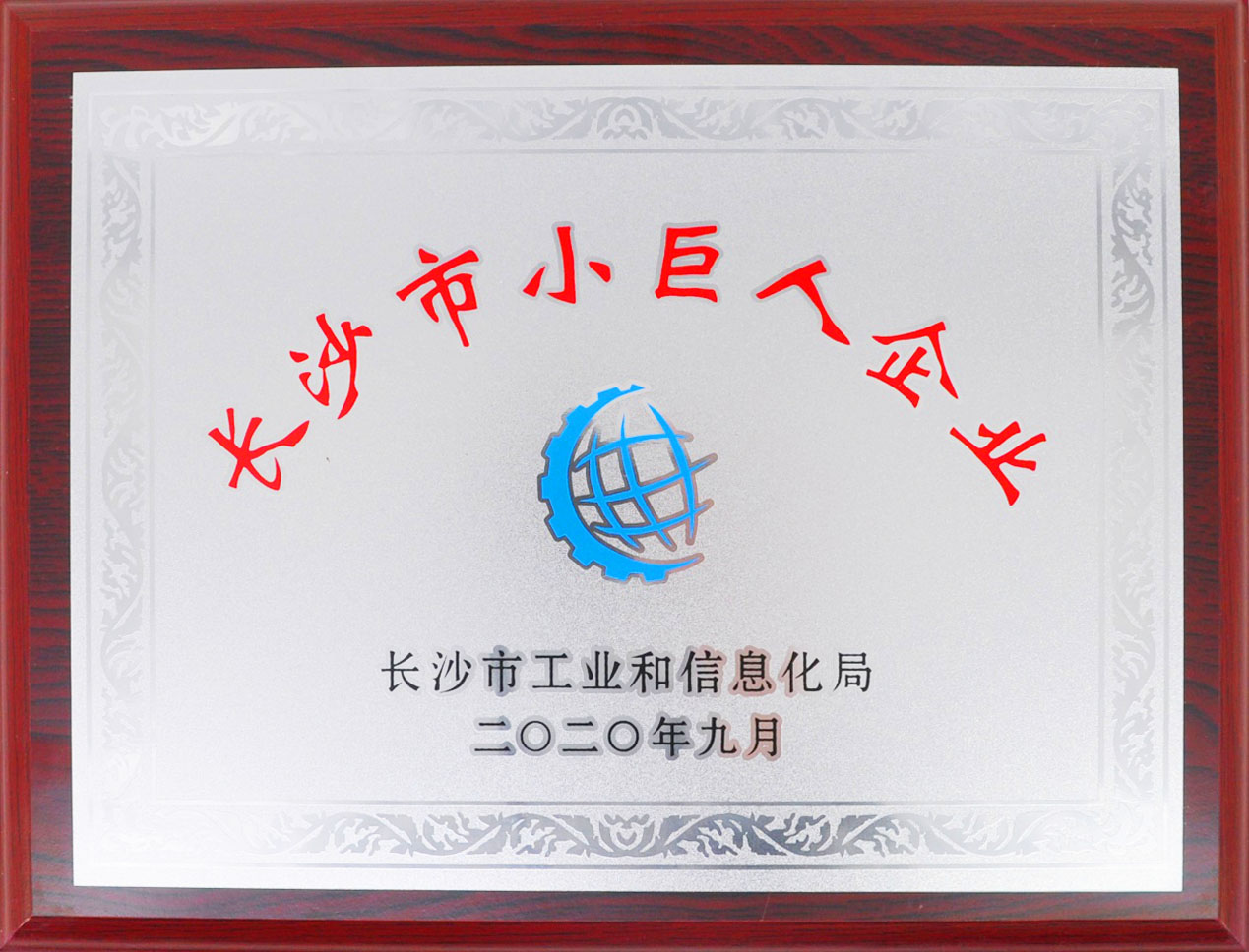 銀河電氣喜獲長沙市“小巨人企業(yè)”授牌